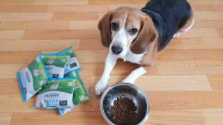 더 잘먹는 스누펫 펫 도시락_어덜트 — 5점을 준 리뷰어가 2018년 6월 올린 사용 사진