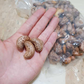 영지버섯님이 올린 리뷰 사진 3