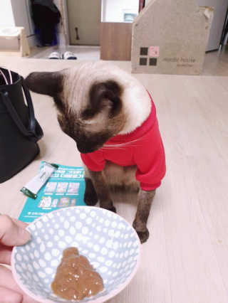 펫프렌즈 생고기가 한봉지 가득 원츄 50g — 5점을 준 리뷰어가 2020년 1월 올린 사용 사진