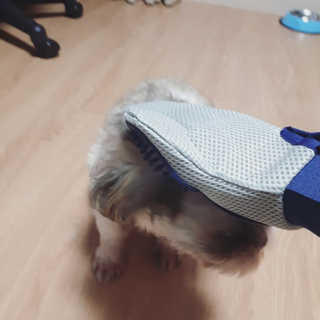 Four paws 리뉴얼 포포즈 매직코트 털 제거 브러쉬 — 5점을 준 리뷰어가 2018년 8월 올린 사용 사진