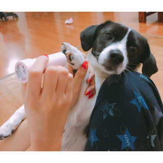 댕님이 올린 리뷰 사진 1