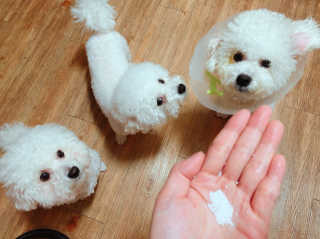 sezziChu님이 올린 리뷰 사진 1