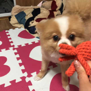 럽영님이 올린 리뷰 사진 3