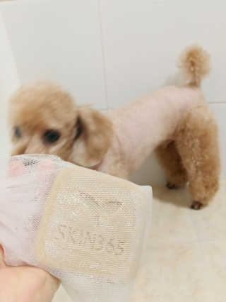 mizong님이 올린 리뷰 사진 2