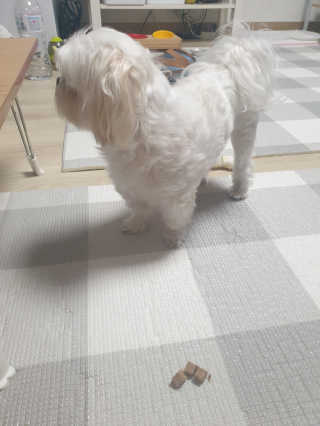 꼬물이님이 올린 리뷰 사진 3