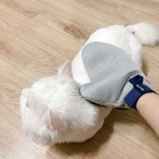 공실이님이 올린 리뷰 사진 3