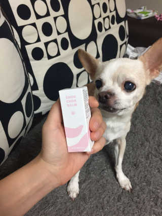 박지혜님이 올린 리뷰 사진 2