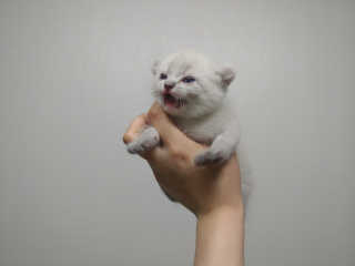 JiminKim님이 올린 리뷰 사진 1