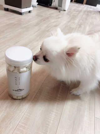 펫프렌즈 [면역력강화]첨가 북어 100퍼센트 촉촉트릿 북어 80g — 5점을 준 리뷰어가 2020년 1월 올린 사용 사진