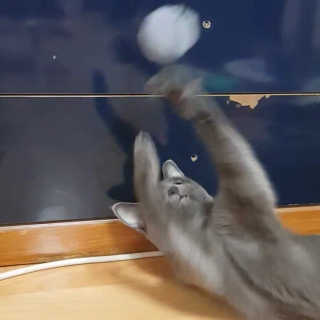 OksT님이 올린 리뷰 사진 4