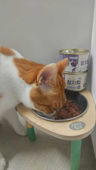 오나오나님이 올린 리뷰 사진 4