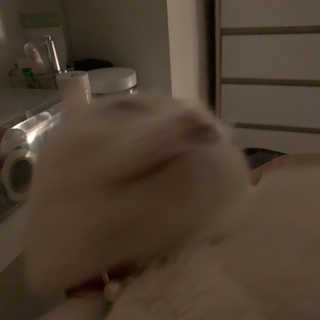 례진님이 올린 리뷰 사진 3