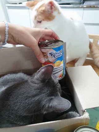 효성님이 올린 리뷰 사진 2