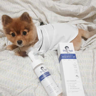 은선이짱님이 올린 리뷰 사진 2