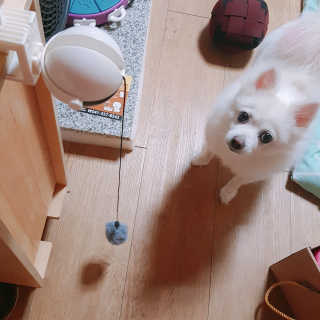 떠뇽님이 올린 리뷰 사진 1