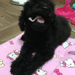 홍님이 올린 리뷰 사진 3