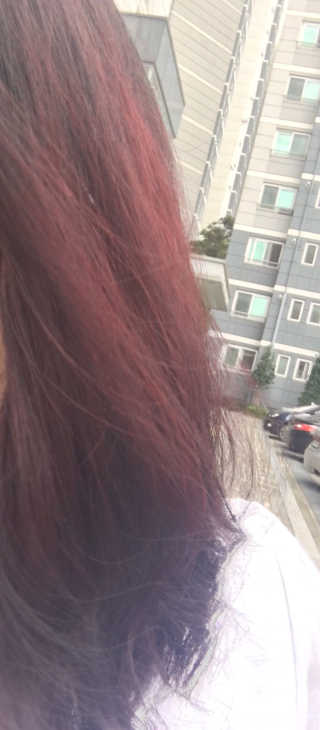 최예림님이 올린 리뷰 사진 4