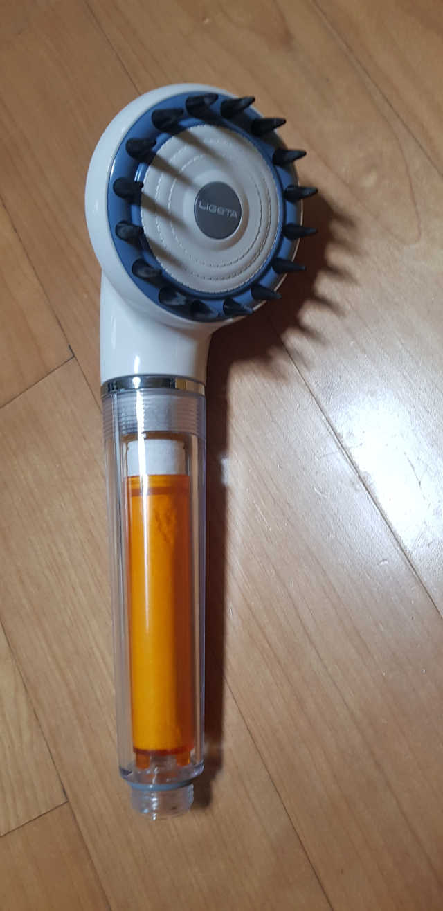리제타 두피케어 비타샤워 리뷰 사진