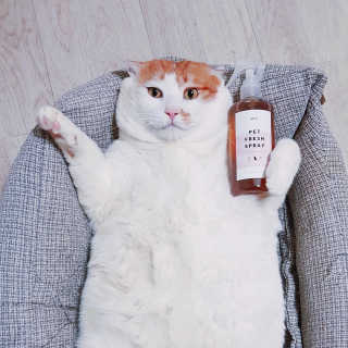 suri님이 올린 리뷰 사진 1