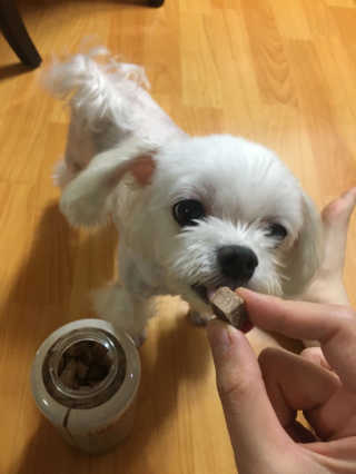 봄아이리온님이 올린 리뷰 사진 3