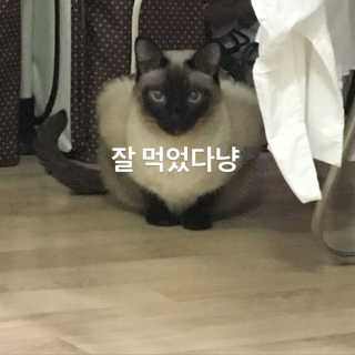지니님이 올린 리뷰 사진 2