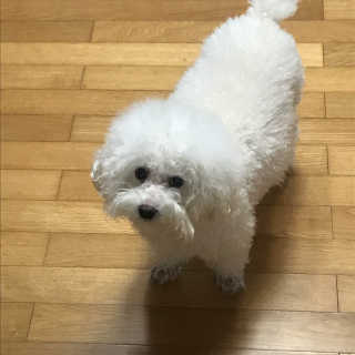 럭해님이 올린 리뷰 사진 1