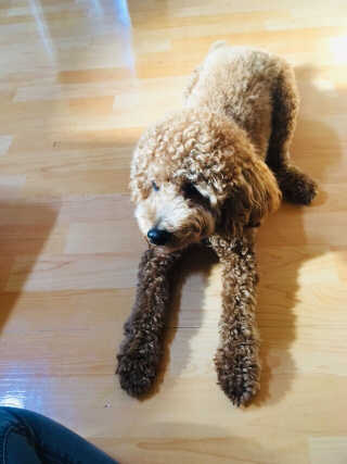 fksrud7425님이 올린 리뷰 사진 2