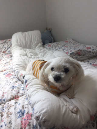 김주은님이 올린 리뷰 사진 3