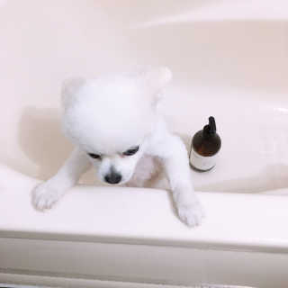 백설님이 올린 리뷰 사진 1