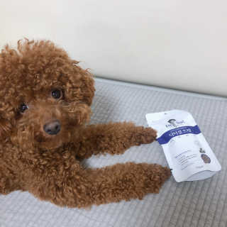 다요미님이 올린 리뷰 사진 1