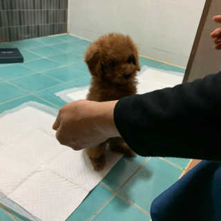 KellyChoi님이 올린 리뷰 사진 2