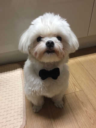 달려라희야님이 올린 리뷰 사진 3