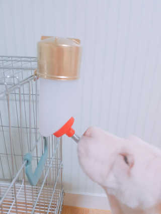 규규부인님이 올린 리뷰 사진 4