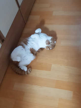 뀨뀨꺄꺄님이 올린 리뷰 사진 4