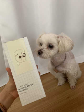 bominnnn님이 올린 리뷰 사진 3