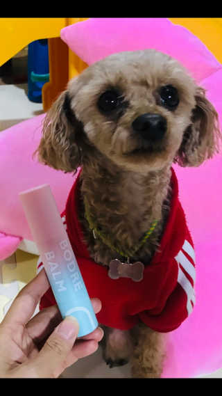 애리미님이 올린 리뷰 사진 1