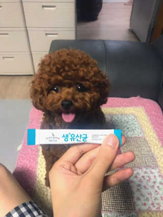 [빙그레] 에버그로 생유산균 1봉（10포입）+펫밀크2팩 — 5점을 준 리뷰어가 2019년 6월 올린 사용 사진