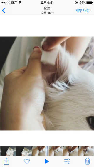 자몽님이 올린 리뷰 사진 3