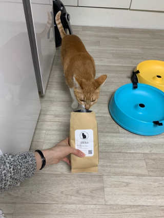 JINI님이 올린 리뷰 사진 1