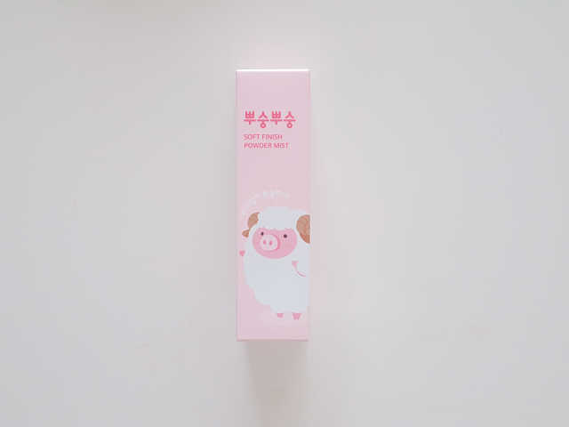 뿌숭뿌숭 파우더미스트 50ML 리뷰 사진