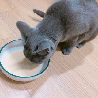 율집사님이 올린 리뷰 사진 3