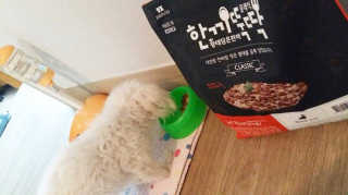 [펫토리아] 맛도 영양도 BEST 한끼뚝딱 강아지 사료 — 5점을 준 리뷰어가 2018년 12월 올린 사용 사진