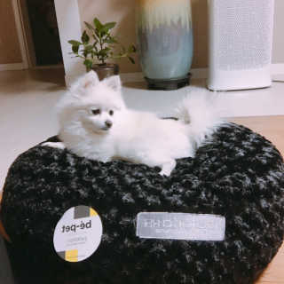 찐님이 올린 리뷰 사진 1