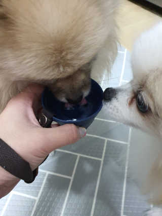 칠둥꿀떡맘님이 올린 리뷰 사진 3