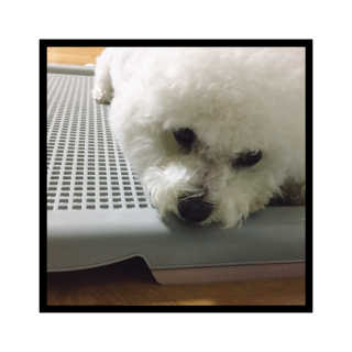 HyeokYoon님이 올린 리뷰 사진 3