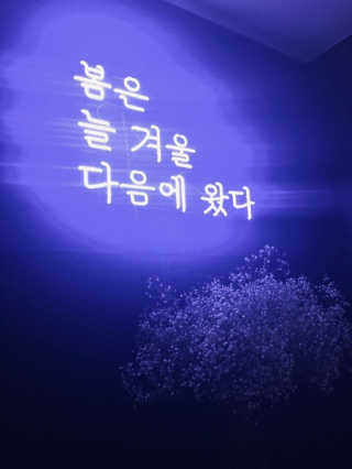 [봄날,오다 구디점] 메뉴 3가지 中 택 1 + 음료 2잔 — 5점을 준 리뷰어가 2018년 10월 올린 사용 사진