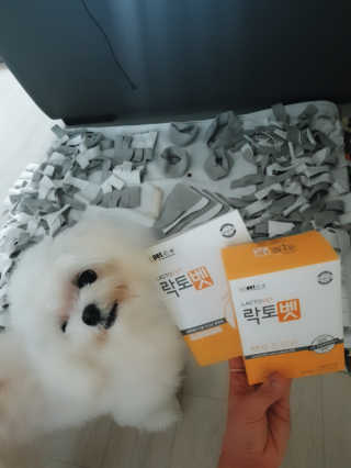 유산균하우스 [프로바이오닉]락토벳 — 5점을 준 리뷰어가 2019년 7월 올린 사용 사진
