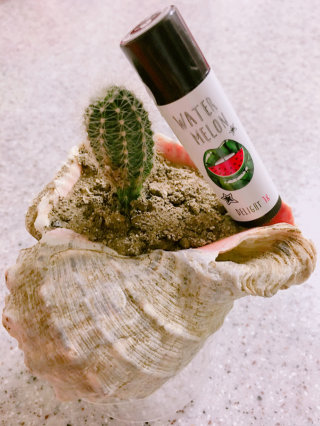 땡슈닝님이 올린 리뷰 사진 1