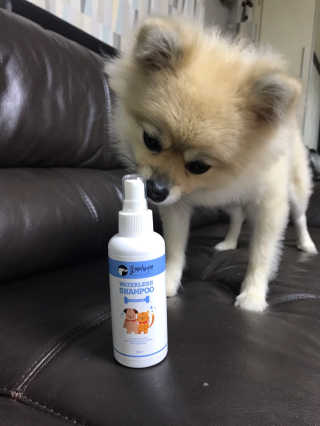 이뻐집시다님이 올린 리뷰 사진 2
