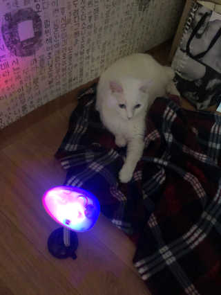 freeofsoul93님이 올린 리뷰 사진 3